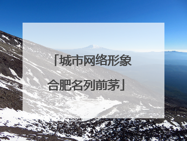 城市网络形象合肥名列前茅