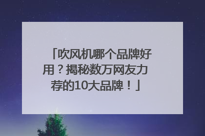 吹风机哪个品牌好用？揭秘数万网友力荐的10大品牌！