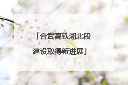 合武高铁湖北段建设取得新进展