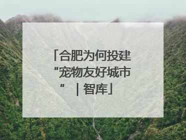合肥为何投建“宠物友好城市”｜智库