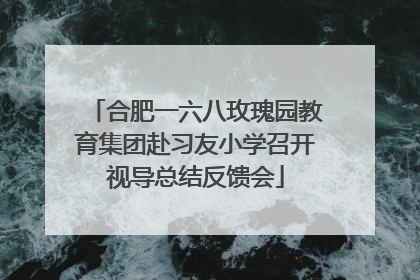 合肥一六八玫瑰园教育集团赴习友小学召开视导总结反馈会