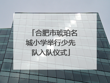 合肥市琥珀名城小学举行少先队入队仪式
