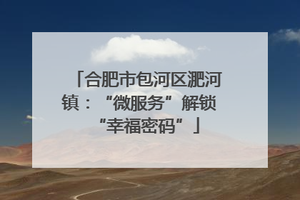 合肥市包河区淝河镇：“微服务”解锁“幸福密码”