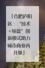 合肥庐阳区：“技术+场景”创新模式助力城市商业再升级