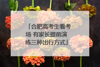 合肥高考生看考场 有家长提前演练三种出行方式