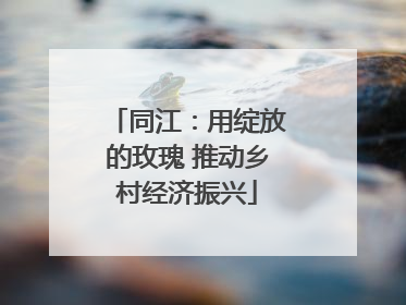 同江：用绽放的玫瑰 推动乡村经济振兴