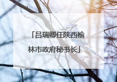 吕瑞卿任陕西榆林市政府秘书长