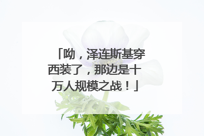 呦，泽连斯基穿西装了，那边是十万人规模之战！