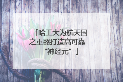 哈工大为航天国之重器打造高可靠“神经元”