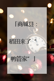 商城县：稻田来了“鸭管家”