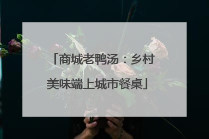 商城老鸭汤：乡村美味端上城市餐桌