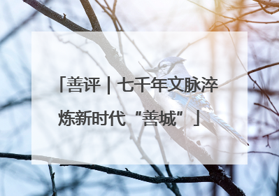 善评｜七千年文脉淬炼新时代“善城”