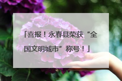 喜报！永春县荣获“全国文明城市”称号！