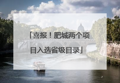 喜报！肥城两个项目入选省级目录