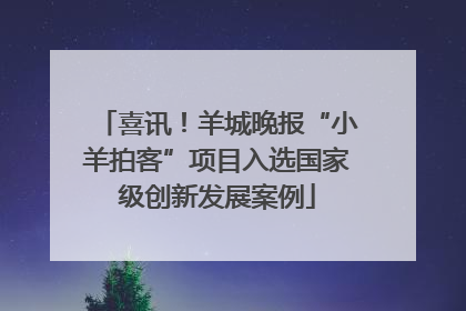 喜讯！羊城晚报“小羊拍客”项目入选国家级创新发展案例