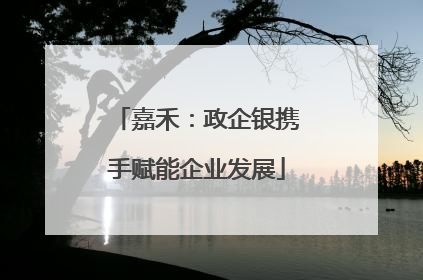 嘉禾：政企银携手赋能企业发展
