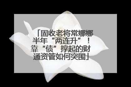固收老将常娜娜半年“两连升”！靠“债”撑起的财通资管如何突围