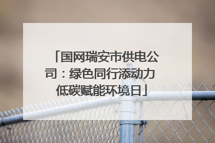 国网瑞安市供电公司：绿色同行添动力 低碳赋能环境日