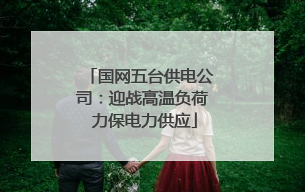 国网五台供电公司：迎战高温负荷 力保电力供应