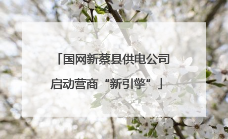 国网新蔡县供电公司启动营商“新引擎”