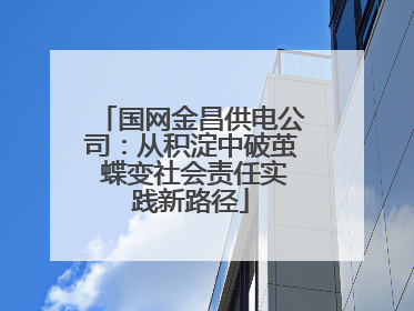 国网金昌供电公司：从积淀中破茧 蝶变社会责任实践新路径