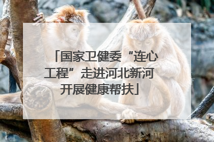 国家卫健委“连心工程”走进河北新河开展健康帮扶