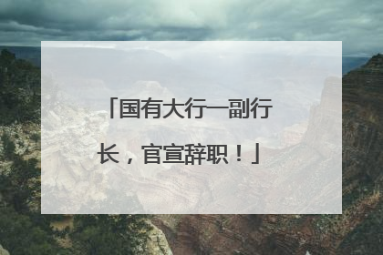 国有大行一副行长，官宣辞职！