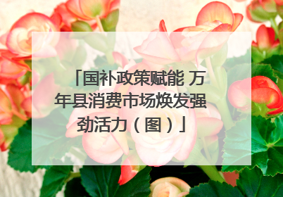 国补政策赋能 万年县消费市场焕发强劲活力（图）
