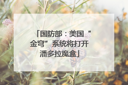 国防部：美国“金穹”系统将打开潘多拉魔盒
