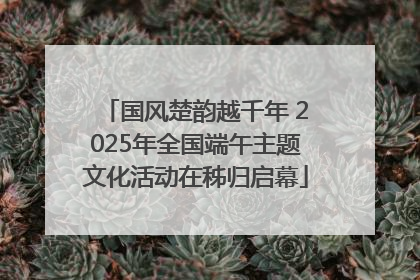 国风楚韵越千年 2025年全国端午主题文化活动在秭归启幕
