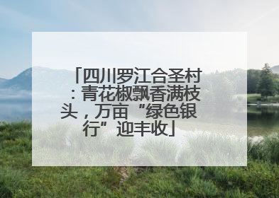四川罗江合圣村：青花椒飘香满枝头，万亩“绿色银行”迎丰收