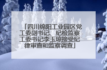 四川绵阳工业园区党工委副书记、纪检监察工委书记李玉琼接受纪律审查和监察调查