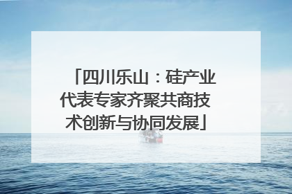 四川乐山：硅产业代表专家齐聚共商技术创新与协同发展