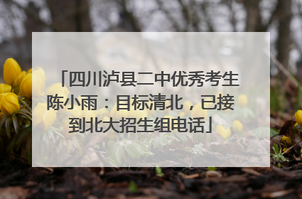 四川泸县二中优秀考生陈小雨：目标清北，已接到北大招生组电话