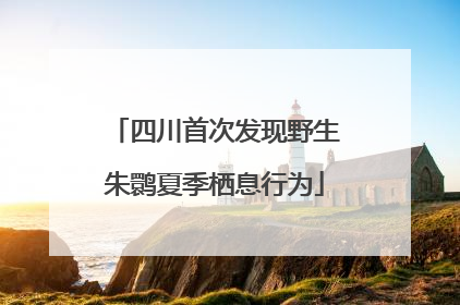 四川首次发现野生朱鹮夏季栖息行为