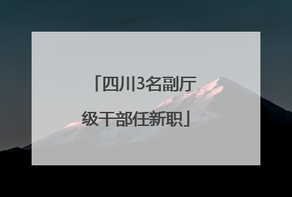 四川3名副厅级干部任新职