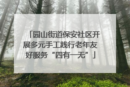 园山街道保安社区开展多元手工践行老年友好服务“四有一无”