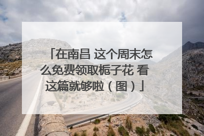 在南昌 这个周末怎么免费领取栀子花 看这篇就够啦（图）