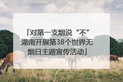 对第一支烟说“不” 湖南开展第38个世界无烟日主题宣传活动