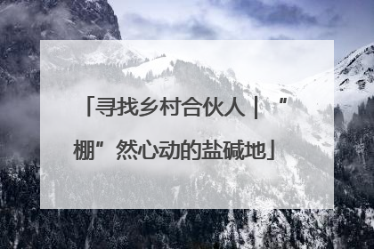 寻找乡村合伙人｜“棚”然心动的盐碱地