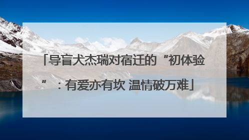 导盲犬杰瑞对宿迁的“初体验”：有爱亦有坎 温情破万难