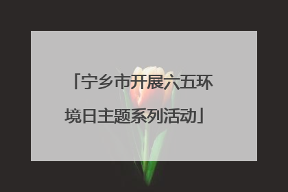 宁乡市开展六五环境日主题系列活动