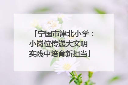 宁国市津北小学：小岗位传递大文明 实践中培育新担当