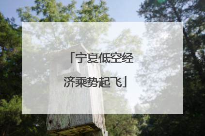 宁夏低空经济乘势起飞