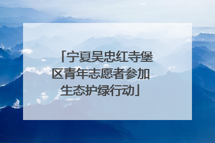 宁夏吴忠红寺堡区青年志愿者参加生态护绿行动