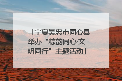 宁夏吴忠市同心县举办“粽韵同心·文明同行”主题活动