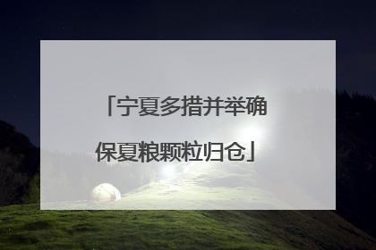 宁夏多措并举确保夏粮颗粒归仓