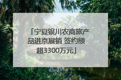宁夏银川农商旅产品进京展销 签约额超3300万元