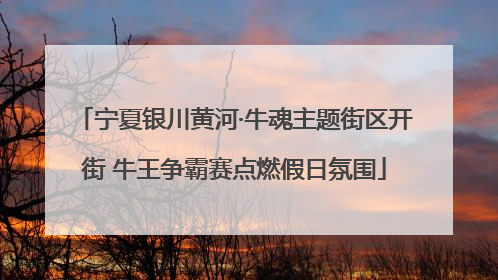 宁夏银川黄河·牛魂主题街区开街 牛王争霸赛点燃假日氛围