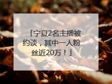 宁夏2名主播被约谈，其中一人粉丝近20万！
